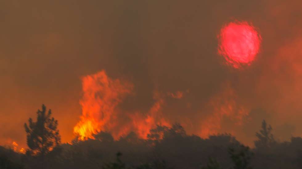 Incêndio em Quebrada de Baixo, freguesia de Freixianda, concelho de Ourém, 09 de julho de 2022. O ministro da Administração Interna destacou hoje a "capacidade de fiscalização" mobilizada no combate aos incêndios, após ter sobrevoado os fogos de Carrazeda de Ansiães e de Ourém, a bordo de uma aeronave P-3C Cup+ da Força Aérea. PAULO CUNHA/LUSA