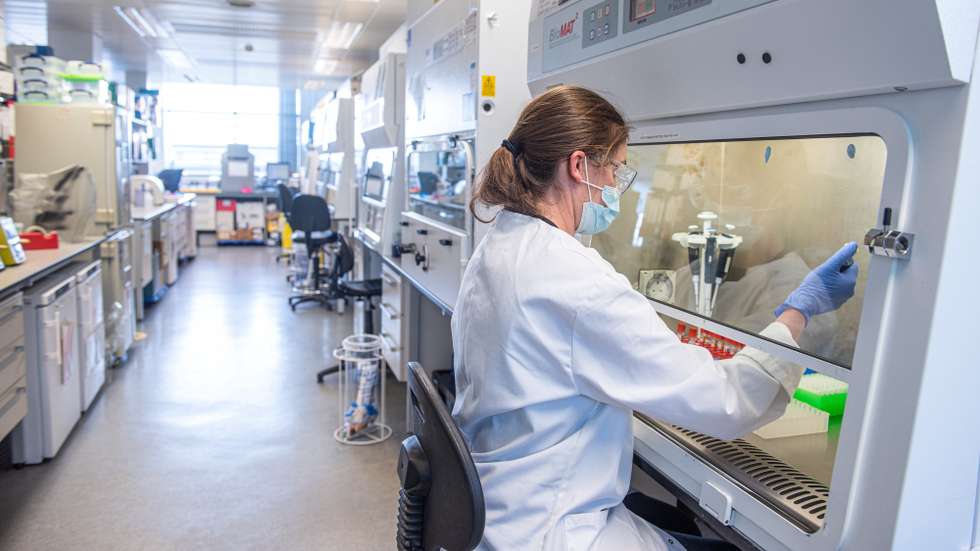 epa08837006 A handout photo dated 26 June 2020 and made available by the Oxford University 23 November 2020, showing employees processing serum at the laboratories of Oxford University to produce a coronavirus vaccine jointly with AstraZeneca, Oxford, United Kingdom. The Oxford University/AstraZeneca coronavirus vaccine has an average efficacy of 70.4 per cent in preliminary results, Oxford University / AstraZeneca announced on 23 November 2020, and can be stored in a standard fridge.  EPA/OXFORD UNIVERSITY / JOHN CAIRNS / HANDOUT  HANDOUT EDITORIAL USE ONLY/NO SALES