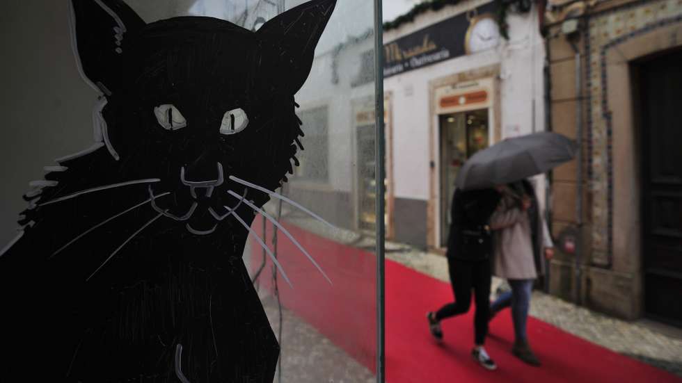Populares passam por uma das ruas do centro histórico da cidade de Torres Vedras onde artistas plásticos ilustraram as montras das lojas do comércio tradicional devolutas, 10 de dezembro de 2020. “Riscos e rabiscos” é o nome da iniciativa que decorra cerca de uma dezena de antigos espaços comerciais na cidade. CARLOS BARROSO/LUSA