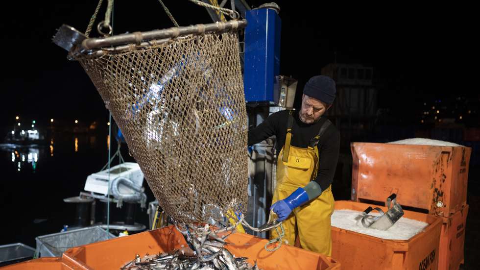 Pescador