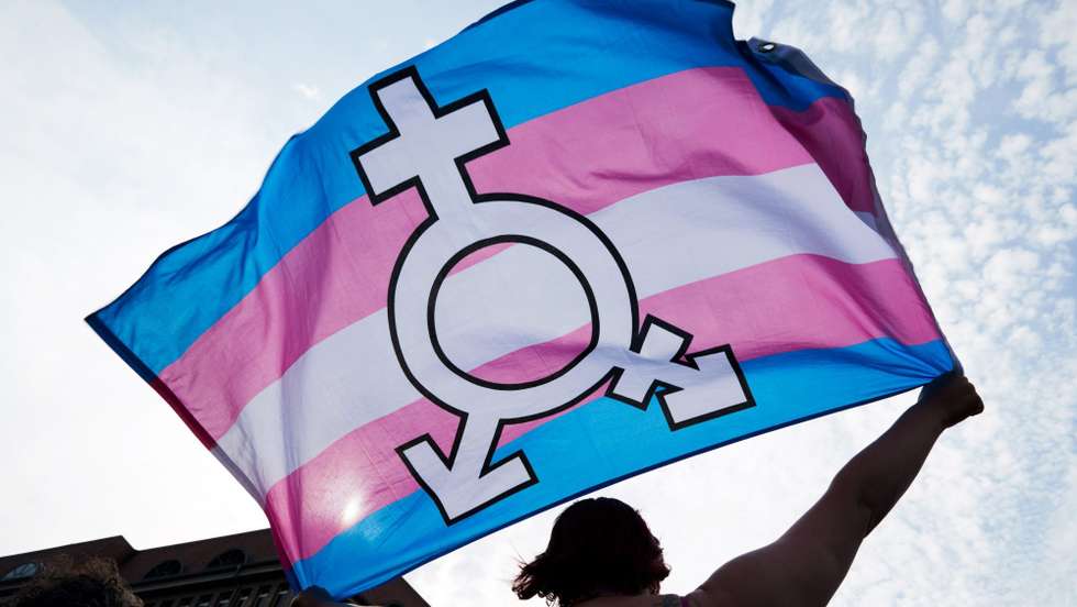 Seja aplicado um sistema de quotas para pessoas trans, à semelhança do que já é feito para as pessoas com deficiência no acesso ao emprego