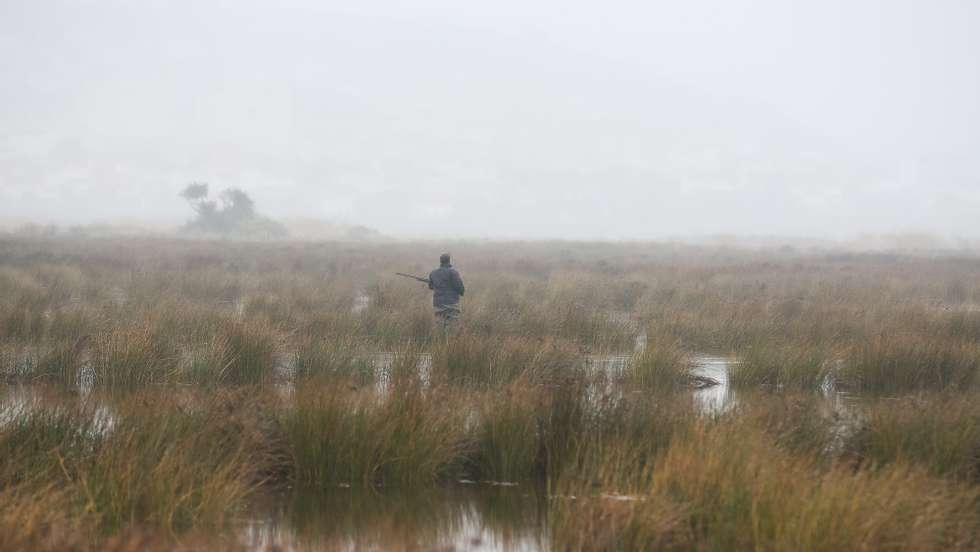 Um caçador durante uma caçada ao pato, na ilha da Morraceira, junto à Figueira da Foz, Coimbra, 20 de agosto de 2020. A pandemia de covid-19 não afetou a caça ao pato no estuário do rio Mondego, mas os convívios realizados pelos caçadores no final das caçadas deixaram de suceder devido ao novo coronavírus. (ACOMPANHA TEXTO DE 21 DE AGOSTO DE 2020). PAULO NOVAIS/LUSA