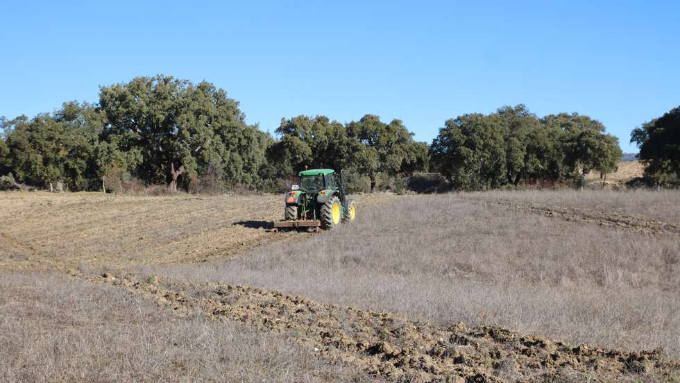 Os agricultores do Planalto Mirandês mostram-se “muito apreensivos” face ao futuro das suas explorações agrícolas e pecuárias devido à “seca severa” que se faz sentir, havendo quem fale em abandonar a produção de gado por falta de alimento, Mogadouro, 29 de janeiro de 2022. Nos concelhos de Mogadouro, Miranda do Douro e Vimioso, no distrito de Bragança,  os produtores  pecuários, agricultores e viticultores têm o desabafo praticamente  comum a todos eles : a terra está seca, não há pastos e a água começa a escassear nos principais pontos de abastecimento agrícola. (ACOMPANHA TEXTO DE 01/02/2022) FRANCISCO PINTO/LUSA