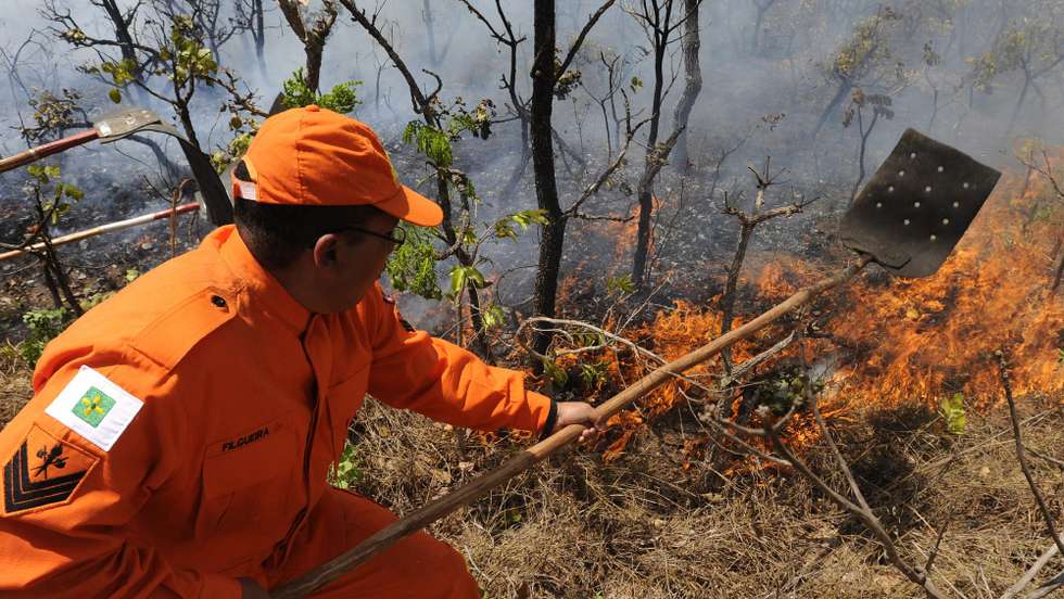 epa02346761 Firemen try to extinguish the wildfire in the National Park of Brasilia also known as 'Agua Mineral' in Brasilia, Brazil, 20 September 2010. More than 200 firemen an inhabitants of the region try to control the fire, the biggest in the last three years in Brasilia.  EPA/FERNANDO BIZERRA JR