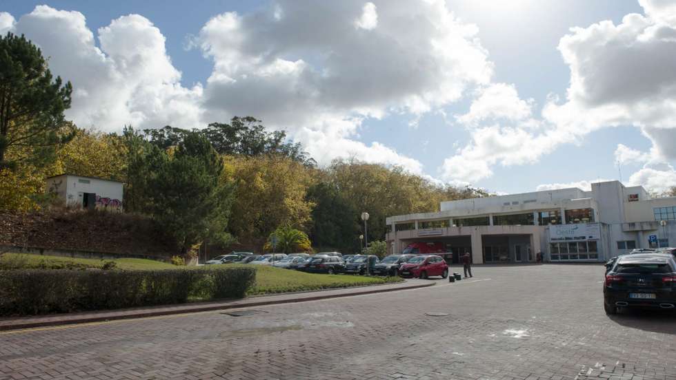 Autoridades recomendam que, antes de recorrer a uma urgência, contacte a Linha SNS 24