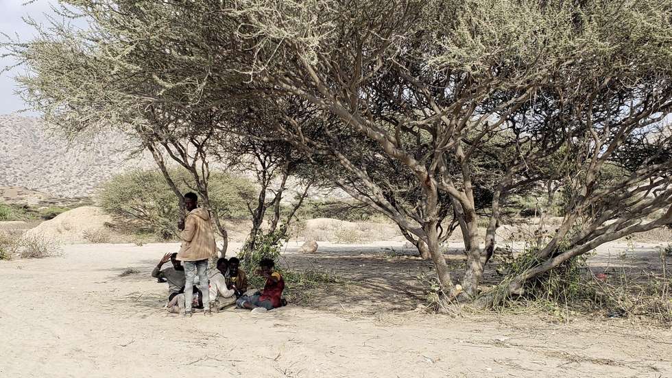 epa11043188 Migrants rest under the shade of a tree before continuing their journey on foot through a valley in the southern province of Lahj, Yemen, 23 December 2023 (issued 24 December 2023). Nearly 95,000 African migrants, notably from Ethiopia and Somalia, have arrived in Yemen between January and November 2023, surpassing the total arrivals recorded in 2022, which stood at approximately 70,000, according to recent estimates by the International Organization for Migration (IOM). For many of the migrants, who have traveled from their home countries in the Horn of Africa region, the long journey involves a risky voyage across the Gulf of Aden aboard a smuggler’s boat, before arriving on the shores of Yemen. After arriving on a beach in Yemen, migrants can walk hundreds of kilometers on foot through several cities of war-ravaged Yemen in order to reach their final destinations in the Gulf countries, IOM reported.  EPA/YAHYA ARHAB