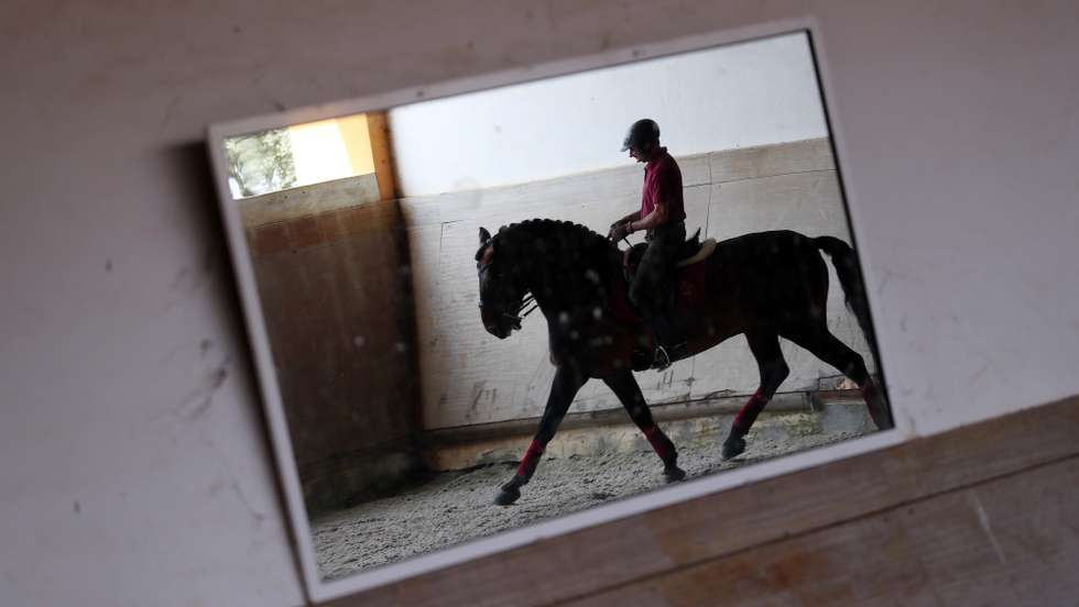 Elemento da equipa de Dressage, Duarte Nogueira