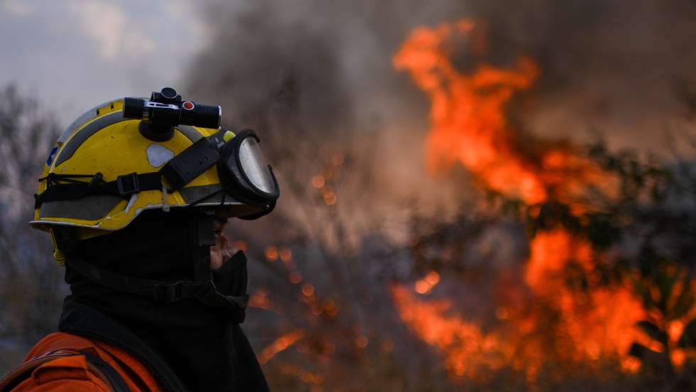epa11567966 A firefighter from the Brasilia Environmental Institute (IBRAM) works to extinguish a forest fire in the Burle Marx Ecological Park, in Brasilia, Brazil, 27 August 2024. A Brazilian Supreme Court judge ordered the government of Luiz Inacio Lula da Silva to deploy, within 15 days, the 'largest contingent' of military and police to combat the wave of fires in the Pantanal and the Amazon.  EPA/Andre Borges