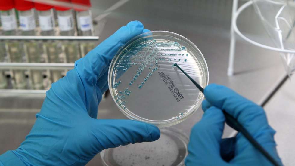 Teste de laboratório