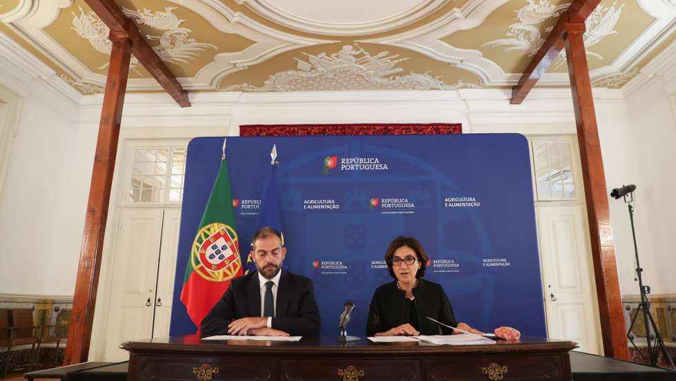 A ministra da Agricultura e da Alimentação, Maria do Céu Antunes (D), e o ministro do Ambiente e da Ação Climática, Duarte Cordeiro (E) falam numa conferência de imprensa após a 9.ª Reunião da Comissão Permanente de Prevenção, Monitorização e Acompanhamento dos Efeitos da Seca, em Lisboa, 21 de junho de 2022. TIAGO PETINGA/LUSA