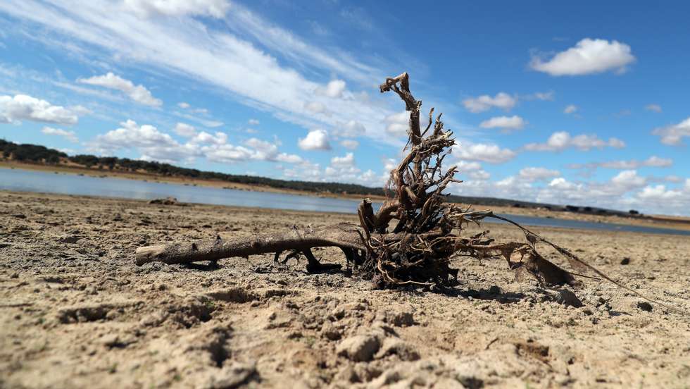 Margem da barragem do Caia, que tem atualmente um volume de 91.935 mil metros cúbicos de água, o que representa 48,39%, em relação à cota de descarga da barragem (190 milhões de metros cúbicos). De acordo com o índice PDSI, no último mês agravou-se a situação de seca meteorológica em todo o território, com um aumento muito significativo da área em seca severa, estando agora grande parte do território nessa classe. Elvas, 21 de junho de 2022. NUNO VEIGA / LUSA