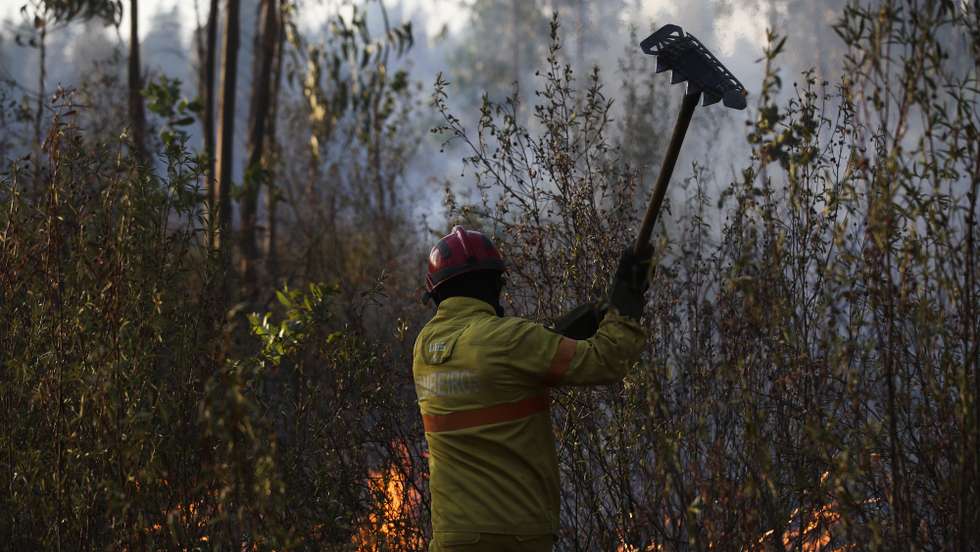 Um bombeiros combate um incêndio em Glória do Ribatejo, no concelho de Salvaterra de Magos, 22 agosto 2021. O incêndio que lavra desde cerca das 15:00 de hoje em Salvaterra de Magos causou um ferido ligeiro, o condicionamento da uma estrada e o corte da linha férrea de Vendas Novas. PAULO CUNHA/LUSA