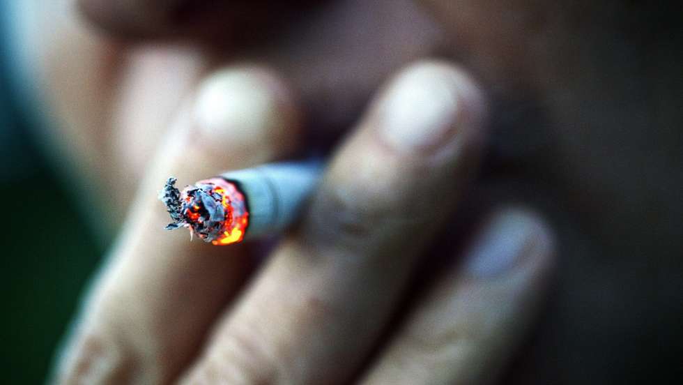 A cultura do tabaco usa 200 mil hectares de terra e 22 biliões de toneladas de água por ano.