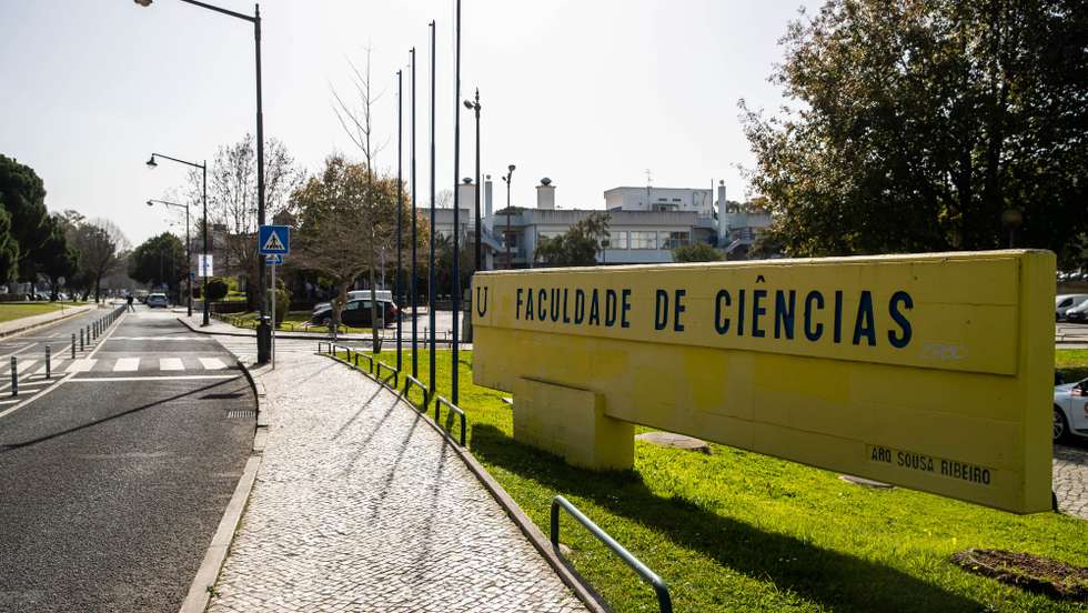 Jovem que planeou ataque à Faculdade de Ciências já foi libertado devido à amnistia