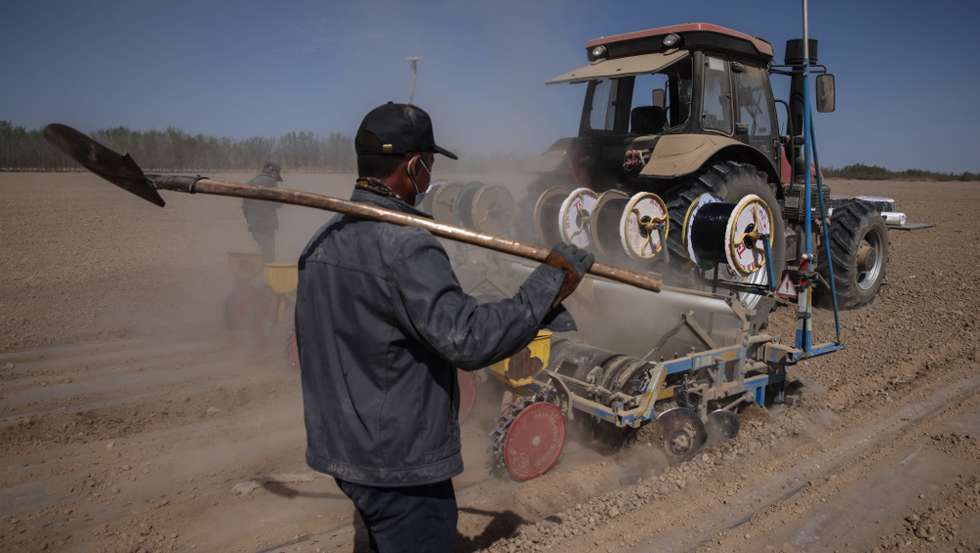 epa09150274 Farmers walk following a planting machine to sow cotton seeds in Changji national agricultural science and technology zone in Changji, western China's Xinjiang Uyghur Autonomous Region during a government organized trip for foreign journalists, 21 April 2021. Built in 2002, the area of this zone is 135,000 mu (about 90 square kilometers) including about 80,000 mu (about 53 square kilometers) are planted with cotton. Since 2010, this zone started to grow crops using new technologies, such as agricultural drip irrigation, drones, and Beidou satellite navigation. Now, as many as 80 workers working in this zone that realize the mechanization planting and picking cotton and the yield per mu (about 667 square meters) is more than 450 kilograms.  According to media reports, China has stepped up plans to launch its own version of the under-fire Better Cotton Initiative after the network cut off all ties with Xinjiang due to concerns about the alleged forced labour issue in the region.  EPA/WU HONG