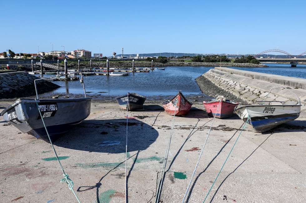 Portinho da Gala onde onde os pescadores alertaram para o alegado perigo de morte por ação dos lodos e lamas que se depositam no Portinho da Gala, na margem sul do rio Mondego, caso alguém ali caia à água, Figueira da Foz, 23 de outubro de 2024. (ACOMPANHA TEXTO DO DIA 21 DE NOVEMBRO DE 2024). PAULO NOVAIS/LUSA
