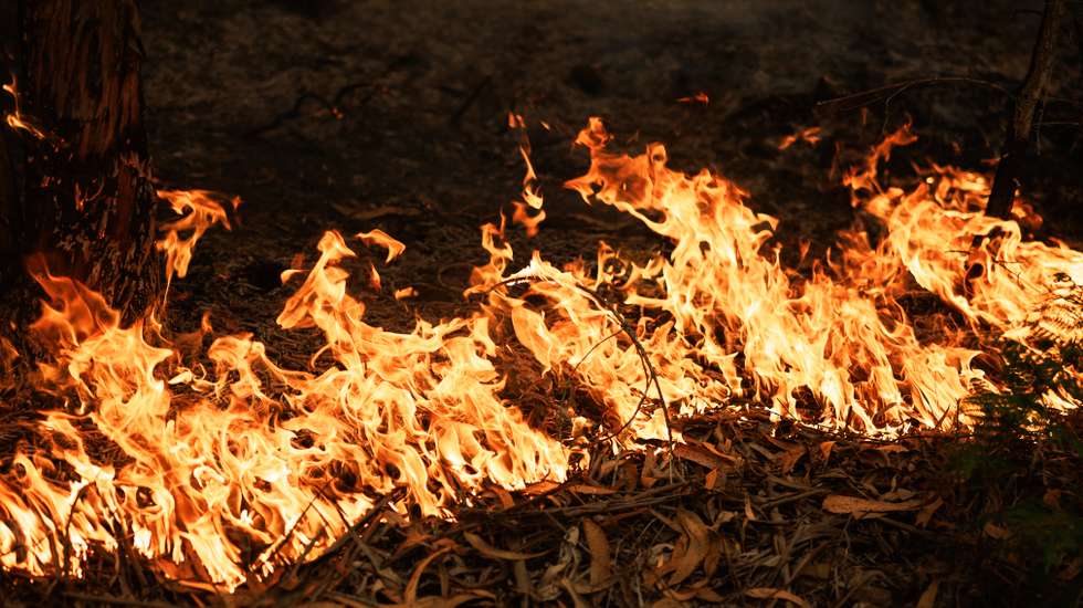 Incêndio florestal