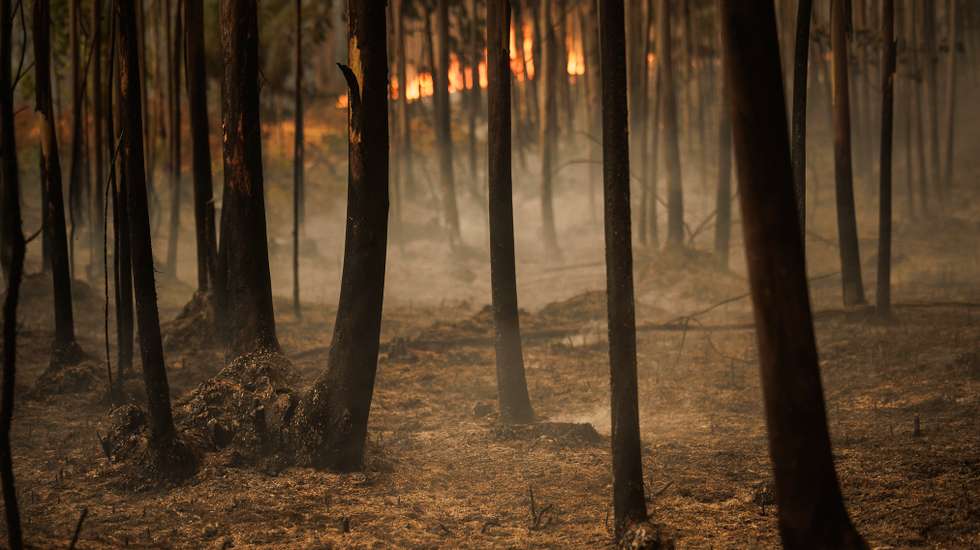 Incêndio