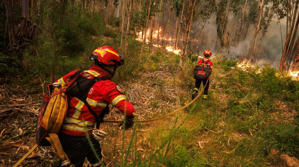 O incêndio em Setúbal deflagrou esta terça-feira às 14h44