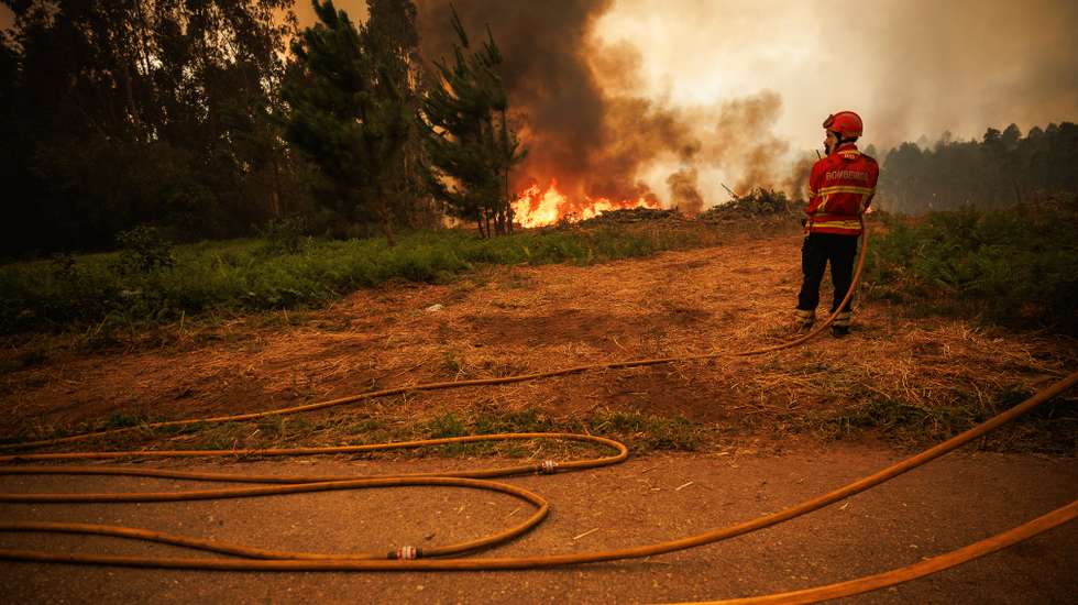 Com mais de 15 mil hectares destruídos, o fogo, até agora o maior do ano, provocou dois feridos graves e seis ligeiros