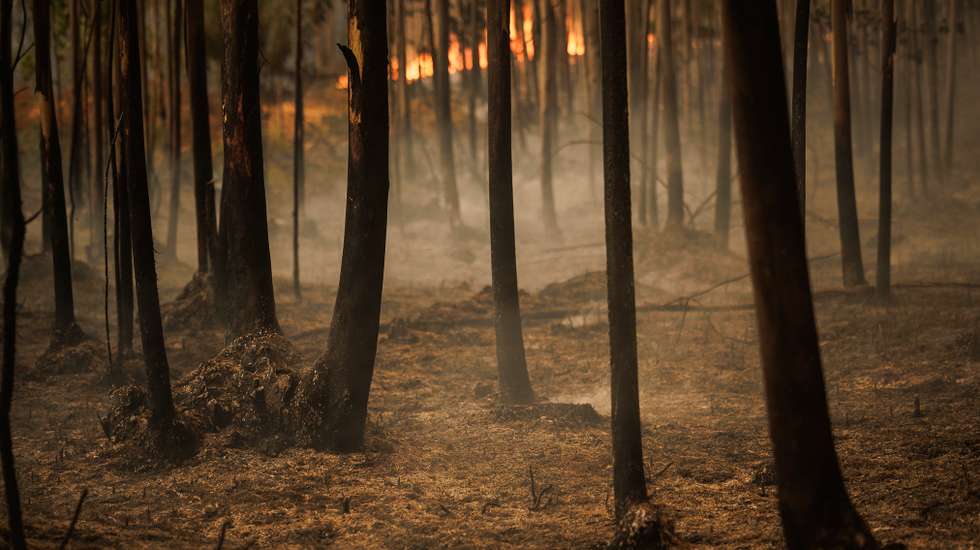 Incêndio