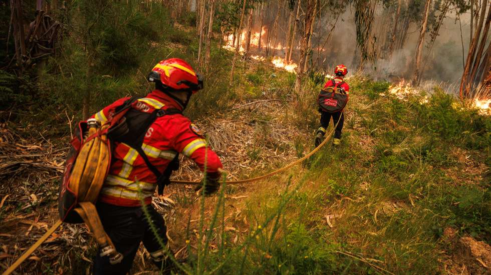 O combate ao incêndio em Vouzela continua a ser o que inspira mais preocupação