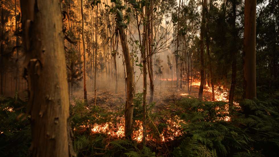 Incêndio