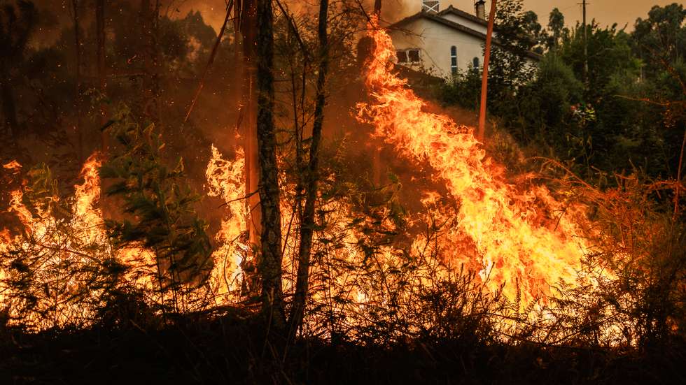 Segundo a ANEPC, Portugal vai mobilizar a capacidade nacional rescEU sendo a missão constituída por duas aeronaves do tipo Fire Boss