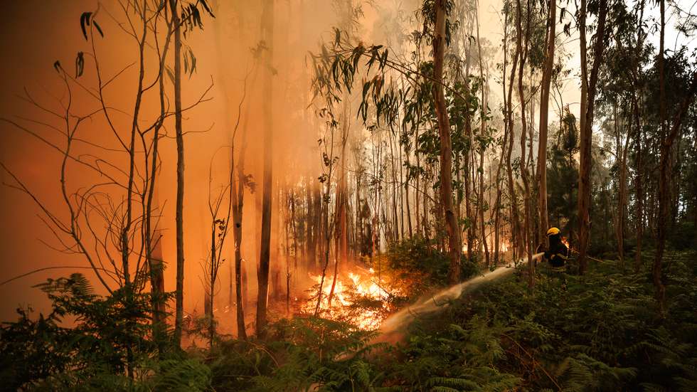 Incêndio