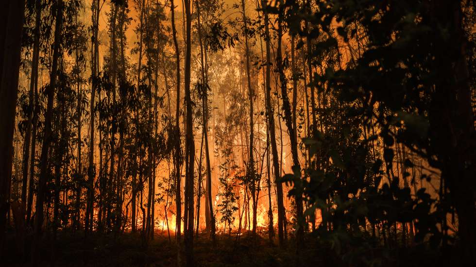O incêndio ocorreu em 11 de julho, ao final da tarde, num dia quente, seco, com vento e temperaturas altas, em zona rural com condições de propagação