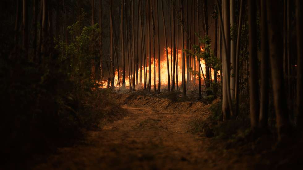 Condições meteorológicas previstas são "favoráveis à ocorrência e propagação de incêndios rurais".