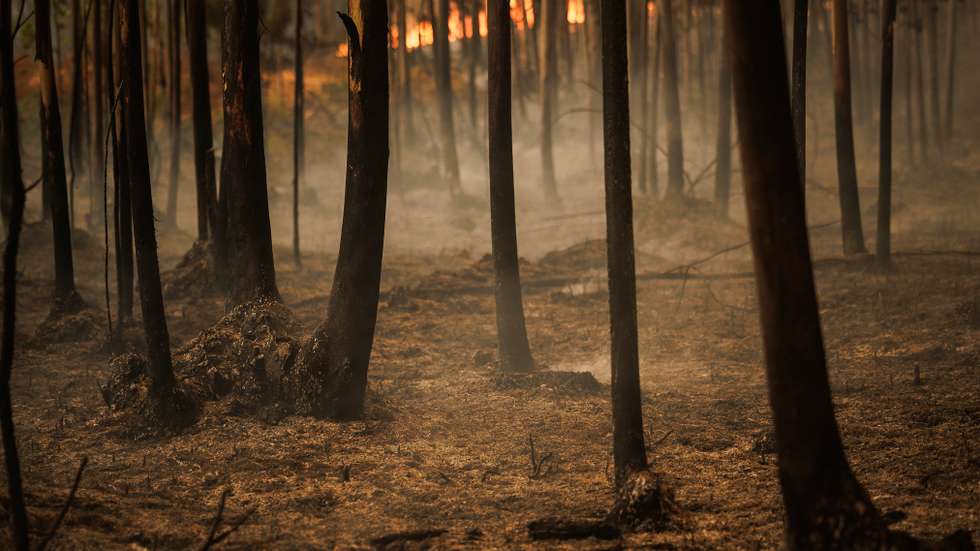 Incêndio