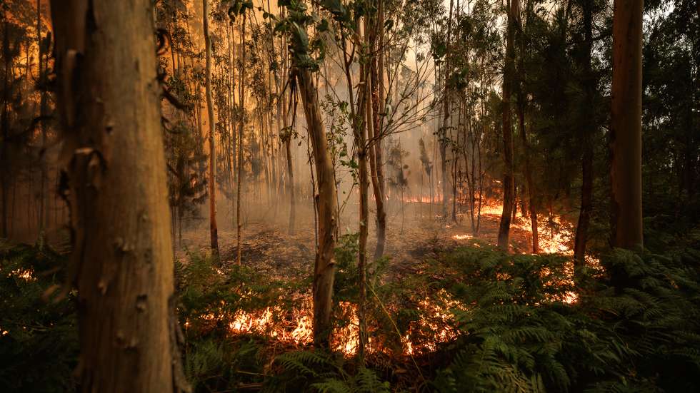 Incêndio