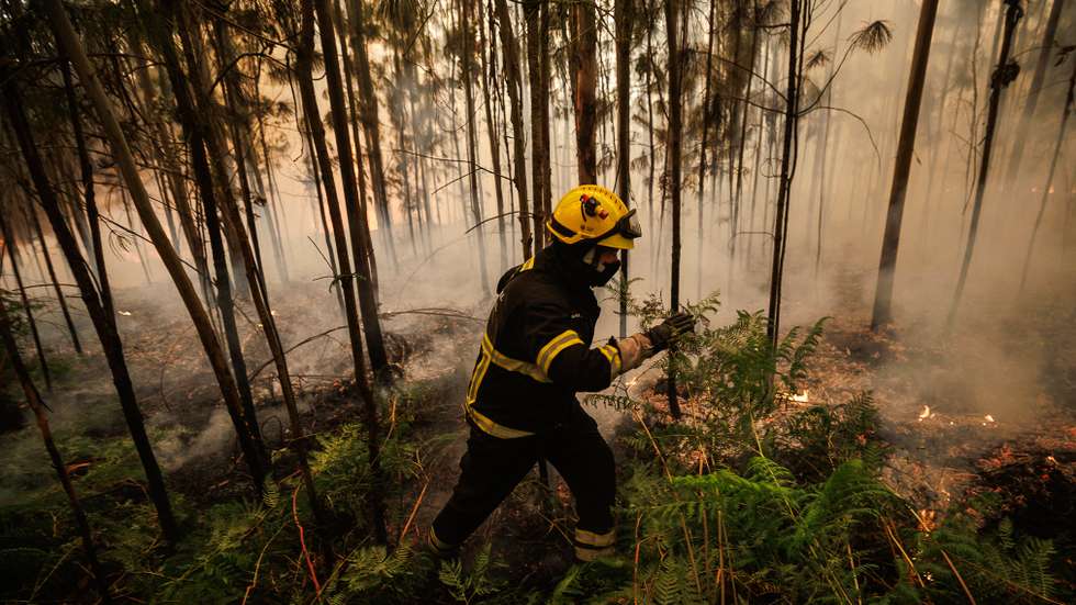 O perigo de incêndio rural determinado pelo IPMA tem cinco níveis, que vão de reduzido a máximo