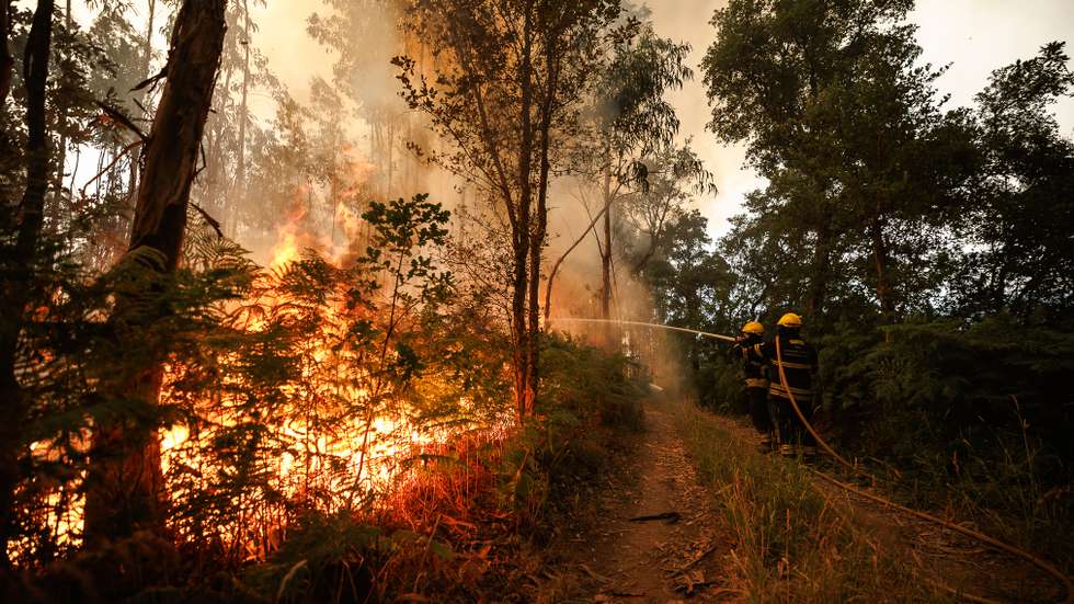 Um jovem de 18 anos foi detido pela GNR, na sexta-feira, por incêndio rural no concelho de Celorico da Beira
