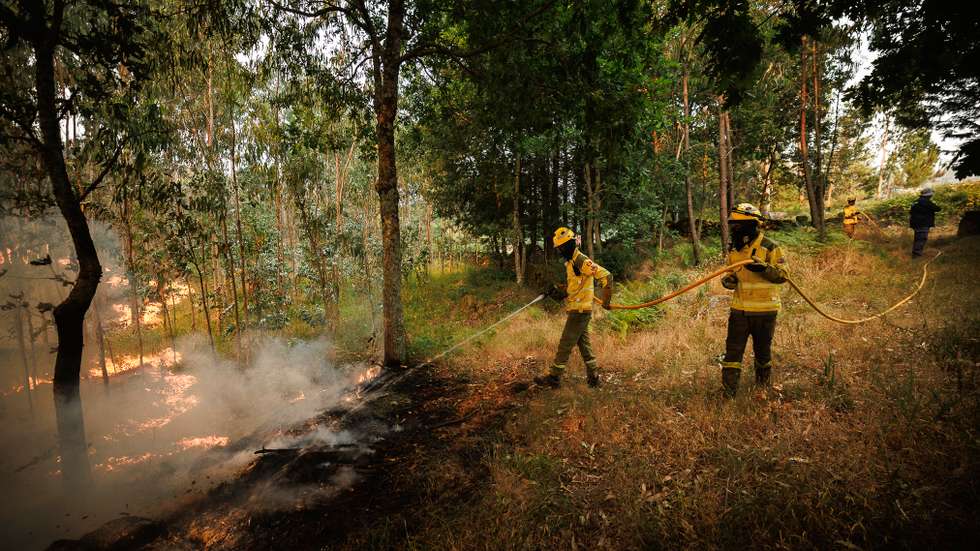 Concelhos em Bragança, Vila Real, Viseu, Guarda, Castelo Branco, Santarém, Portalegre e Faro sob perigo máximo de incêndio