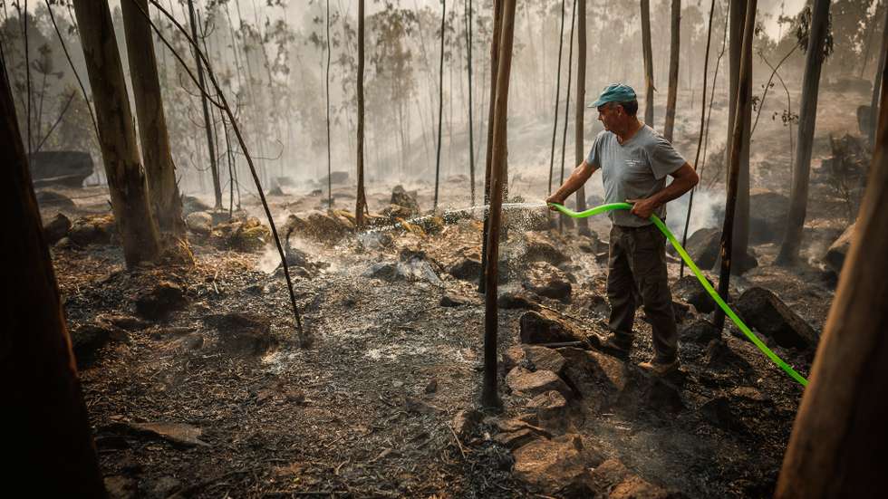 "A energia limpa não só protege o nosso clima, como também fortalece as economias", afirma Simon Stiell