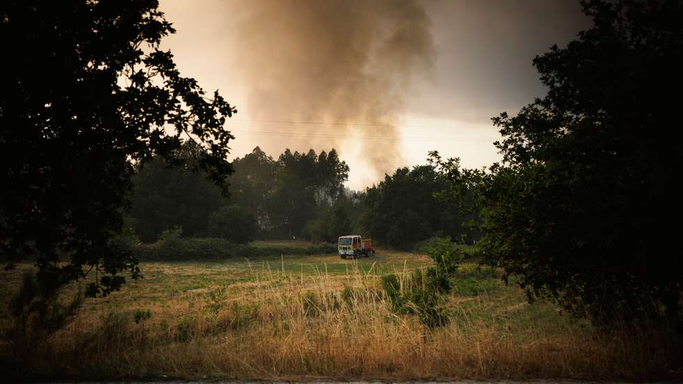 Movimento Rede de Resposta a Incêndios/Floresta do Futuro acusou elites políticas de abandonarem o mundo rural