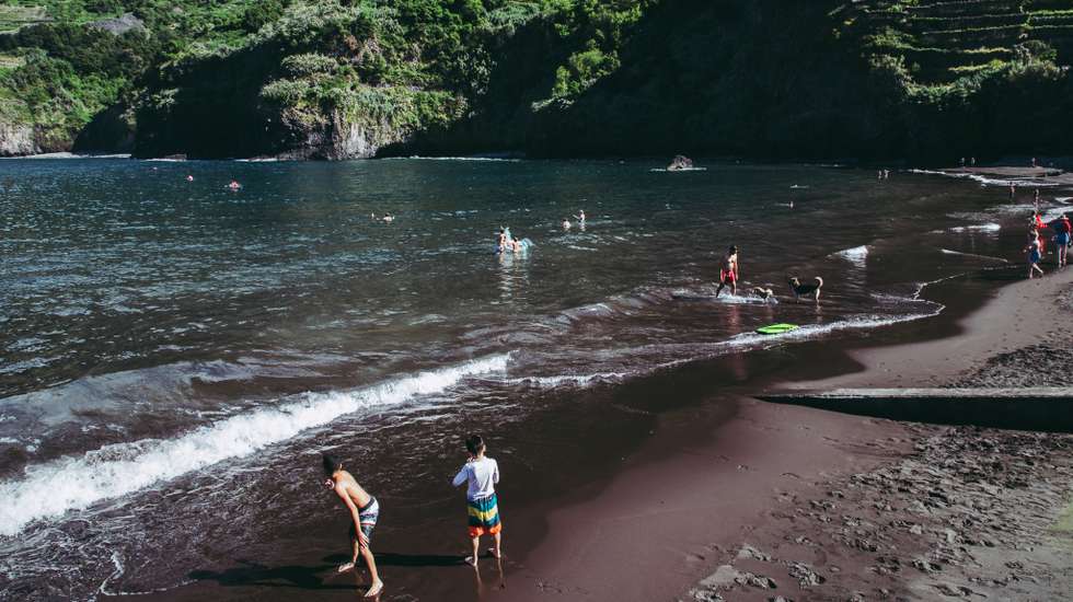 Festival da Natureza da Madeira vai ter 11 tipos de atividades na natureza