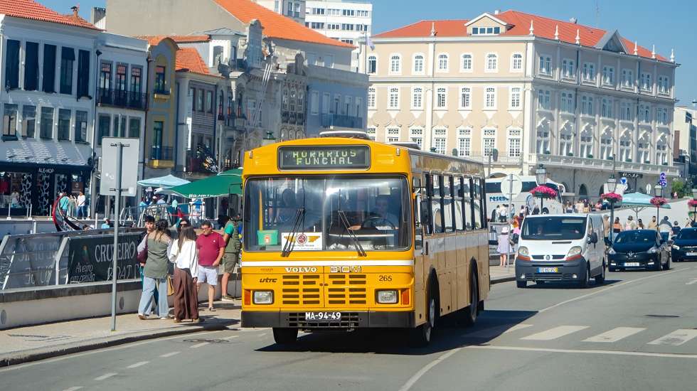 autocarro horários funchal
