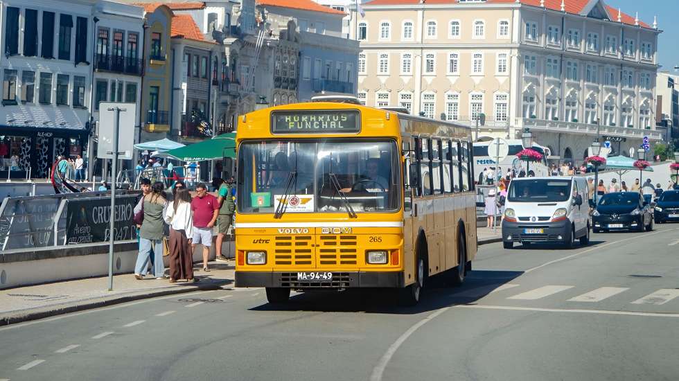 autocarro horários funchal
