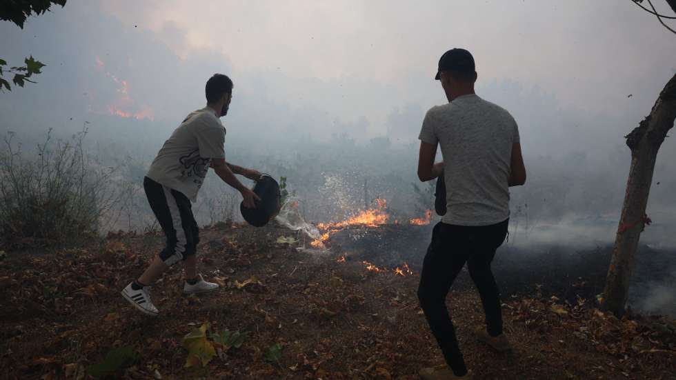 Incêndio em Penalva de Castelo, Viseu, a 16 de setembro de 2024