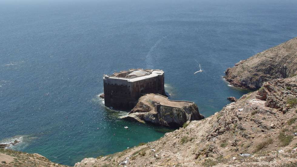 O arquipélago das Berlengas tem estatuto de Reserva Natural desde 1981