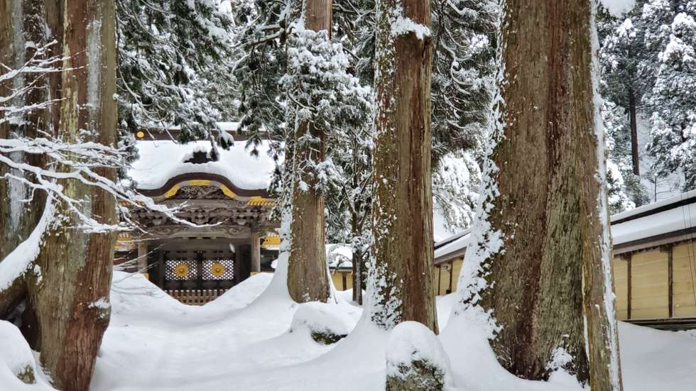O nevão que atingiu o Japão durante segunda e terça-feira