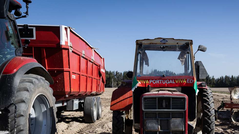 O atropelamento ocorreu cerca das 8h15, numa estrada de Alvite, mais concretamente em Espinheiro