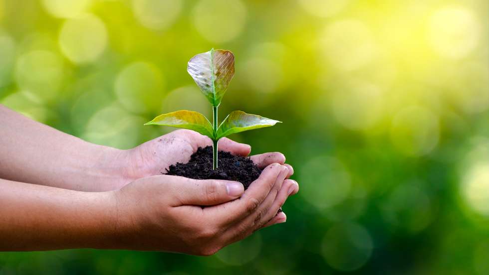 A UNEA-6, o principal órgão de decisão ambiental do mundo, reuniu esta semana mais de 5.000 representantes de governos