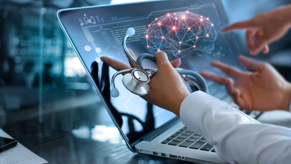 Na experiência, os investigadores usaram elétrodos de última geração para medir a atividade cerebral enquanto os animais realizavam uma tarefa que implicava a tomada de uma decisão