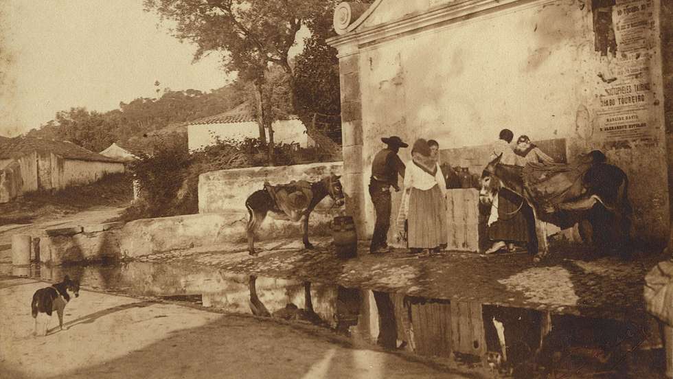Como Silva Porto pintor, Bárcia surpreendeu raparigas pelos caminhos, com burros albardados, e outros camponeses nas suas lides quotidianas