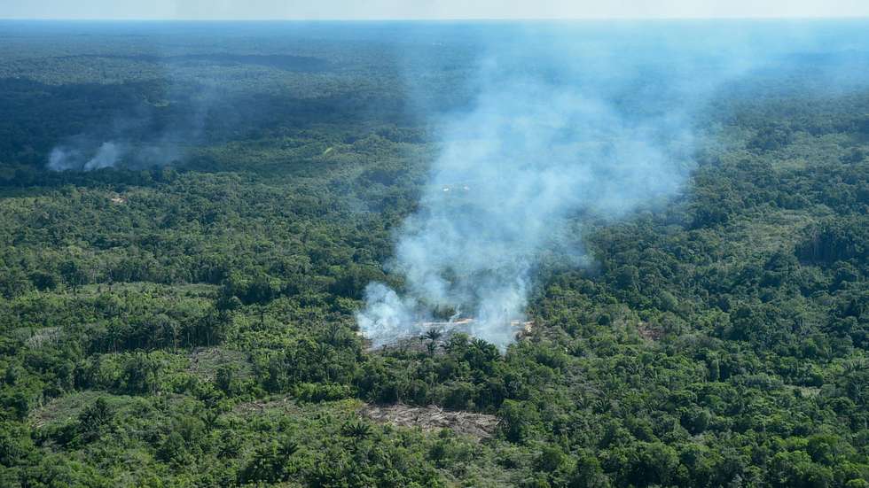 Amazon forest fires