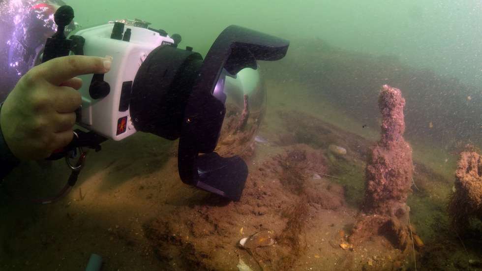 A exploração dos vestígios arqueológicos no Arade envolve "um projeto de valorização do património" e, por isso, os arqueólogos têm como objetivo retirar "alguns dos objetos" com os quais se vão deparar à medida que o projeto avança
